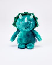 Load image into Gallery viewer, Snuggz Kids Dinosaur Plush Pocket Pal Toy
