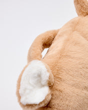 Load image into Gallery viewer, Snuggz Teddy Bear Cuddle Cushion
