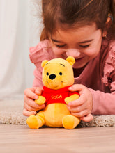 Load image into Gallery viewer, Winnie The Pooh Disney Official Snuggz Licenced Plush Toy - Small size
