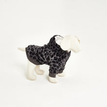 Load image into Gallery viewer, Snuggz Pets - Navy Dog Hoodie
