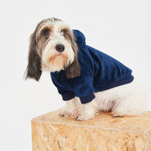 Load image into Gallery viewer, Snuggz Pets - Navy Dog Hoodie
