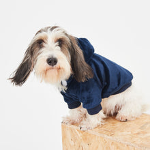 Load image into Gallery viewer, Snuggz Pets - Navy Dog Hoodie
