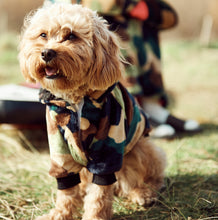 Load image into Gallery viewer, Snuggz Pets - Camo Dog Hoodie
