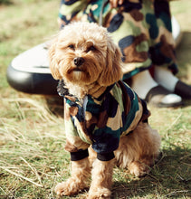 Load image into Gallery viewer, Snuggz Pets - Navy Dog Hoodie
