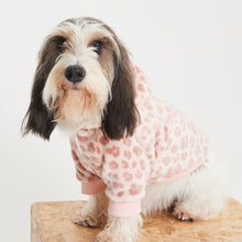 Load image into Gallery viewer, Snuggz Pets - Navy Dog Hoodie
